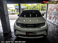 byd dolphin Am (18).jpg